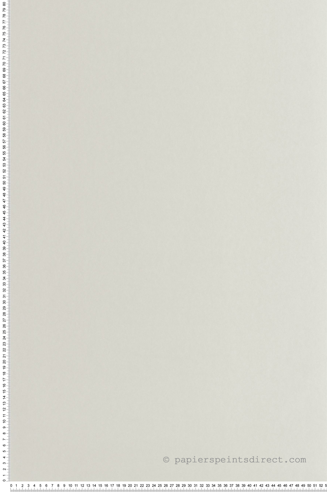 Papier peint Uni Pigments Buvard grège - Années Folles de Casadéco | Réf. ANFO200339119