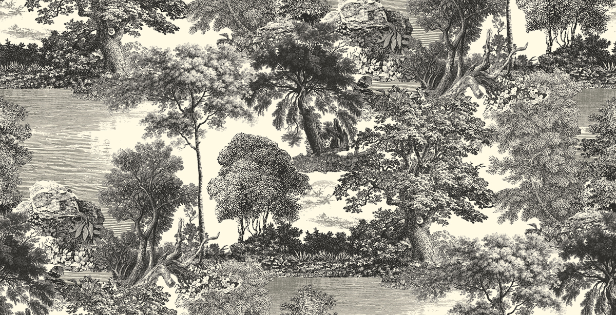 Papier peint panoramique Toile de Jouy Salcey anthracite - A, B, C et D H260 - Amazone de Masureel | Réf. MAS-DGSAL101X-260