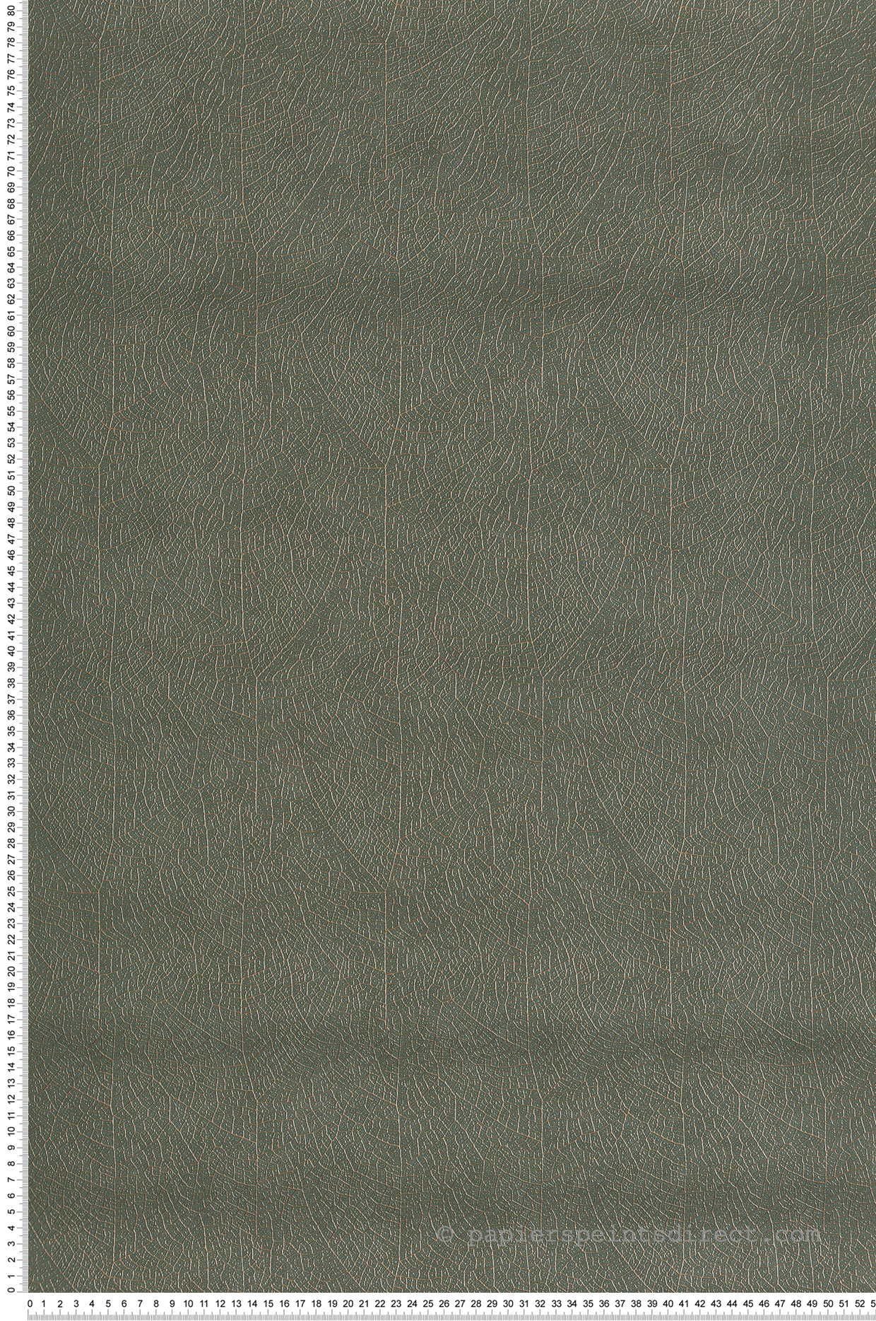 Papier peint Feuille Nervure Nola vert paon - Vegetals de Casadéco | Réf. VEGE201287909