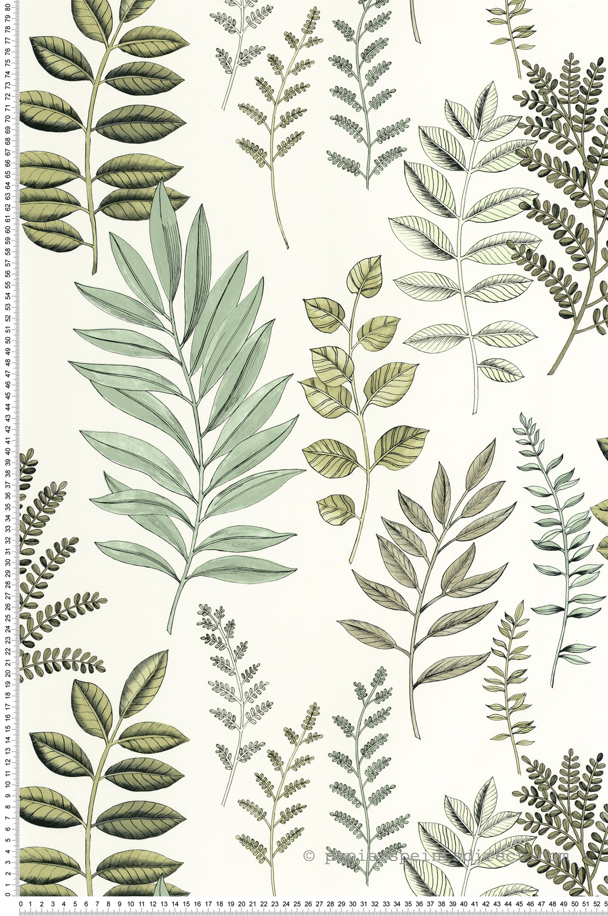 Papier peint Végétaux Florium vert d'eau - Art of Botany de Casélio | Réf. AOB106660782