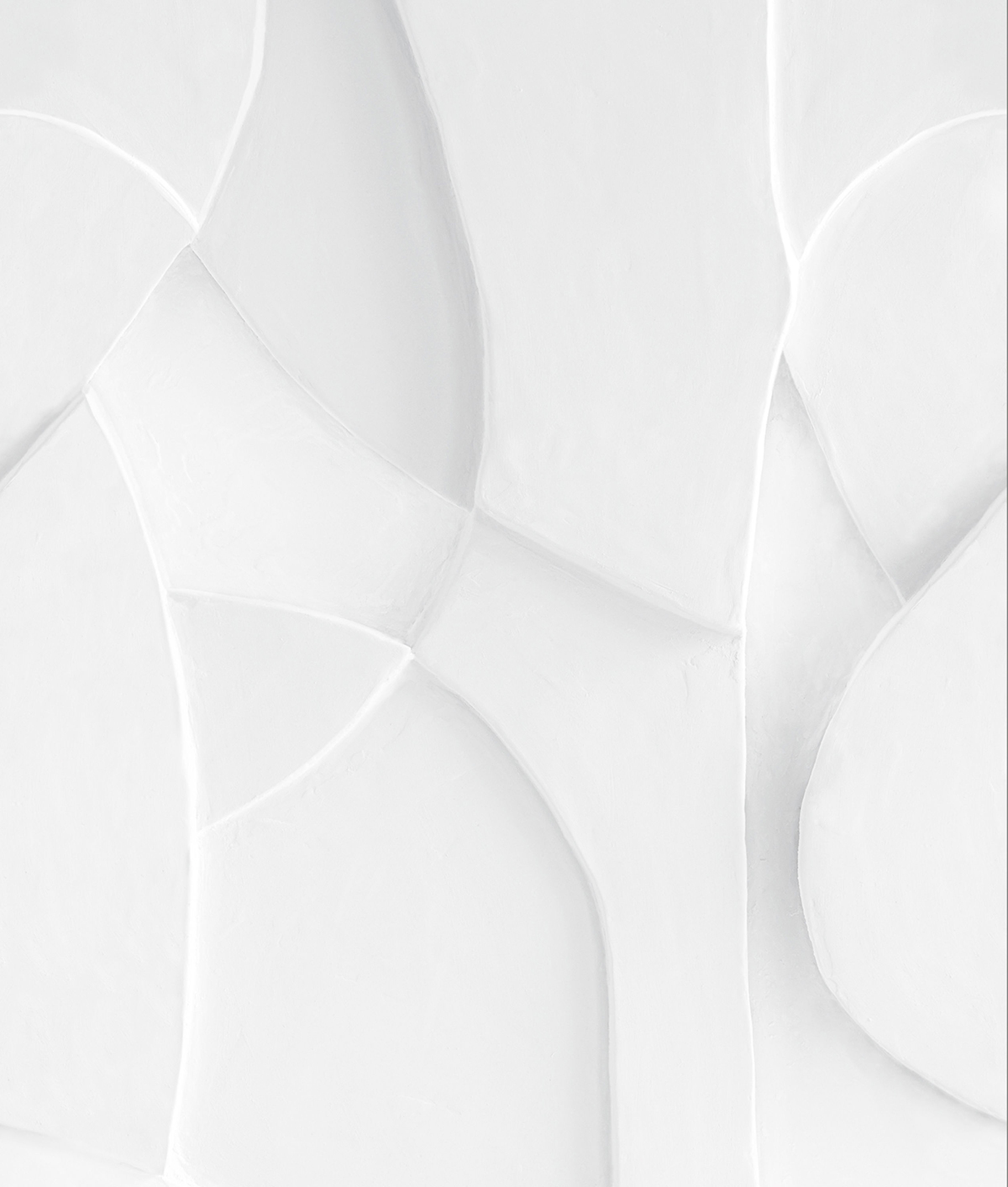 Papier peint panoramique Volume en Plâtre blanc S 212 X 250 - Reliefs de Casélio | Réf. RLF106380025