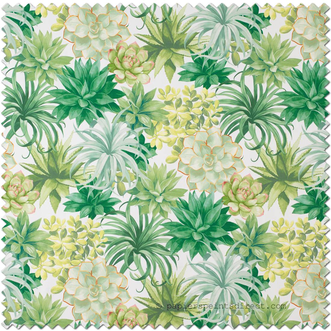 Tissu Plante Echeveria vert - Botanica de Casadéco | Réf. BOTA86117479