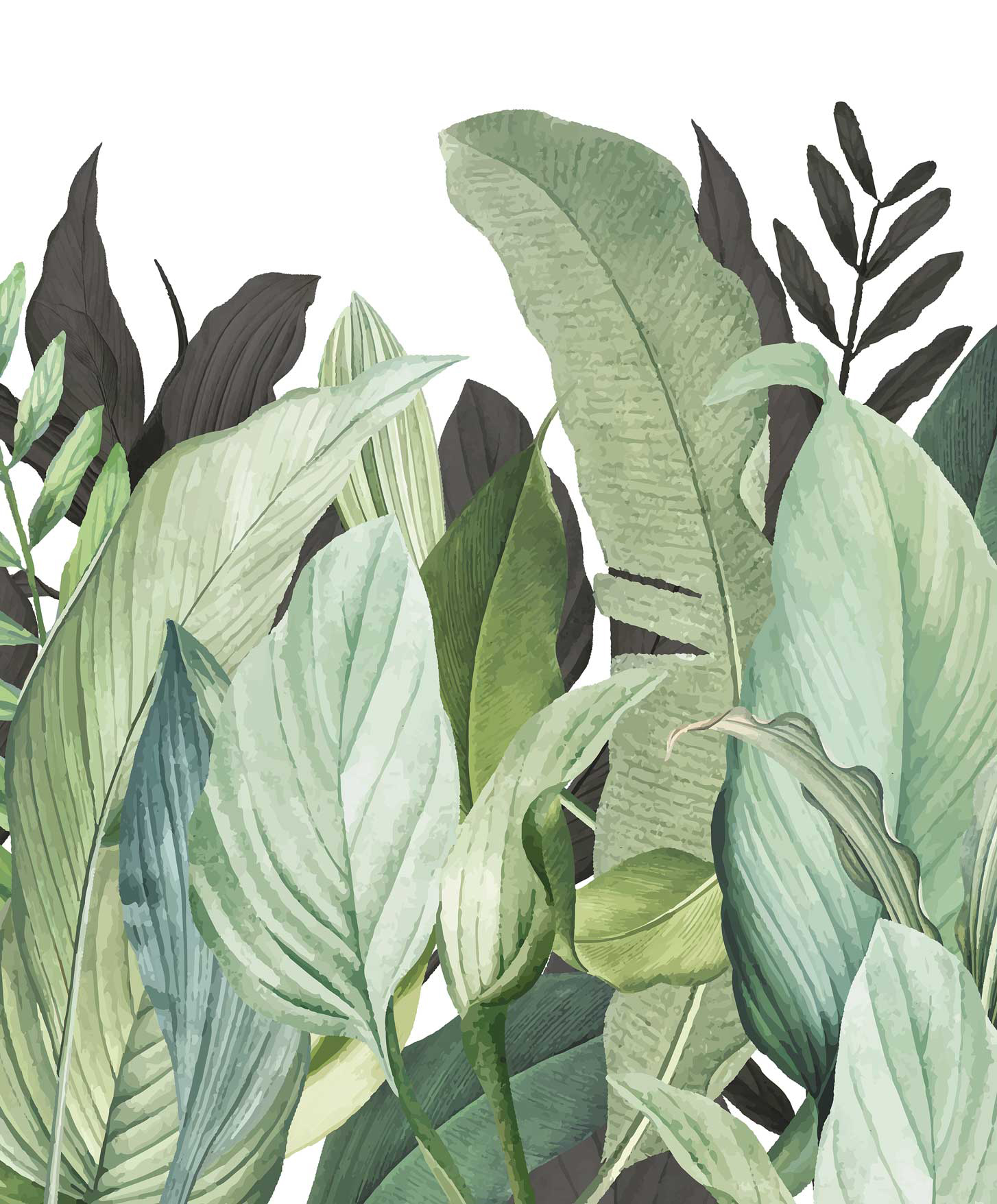 Papier peint Panoramique Tropical Forest blanc et vert - Moorea de Montecolino | Réf. MC-18001