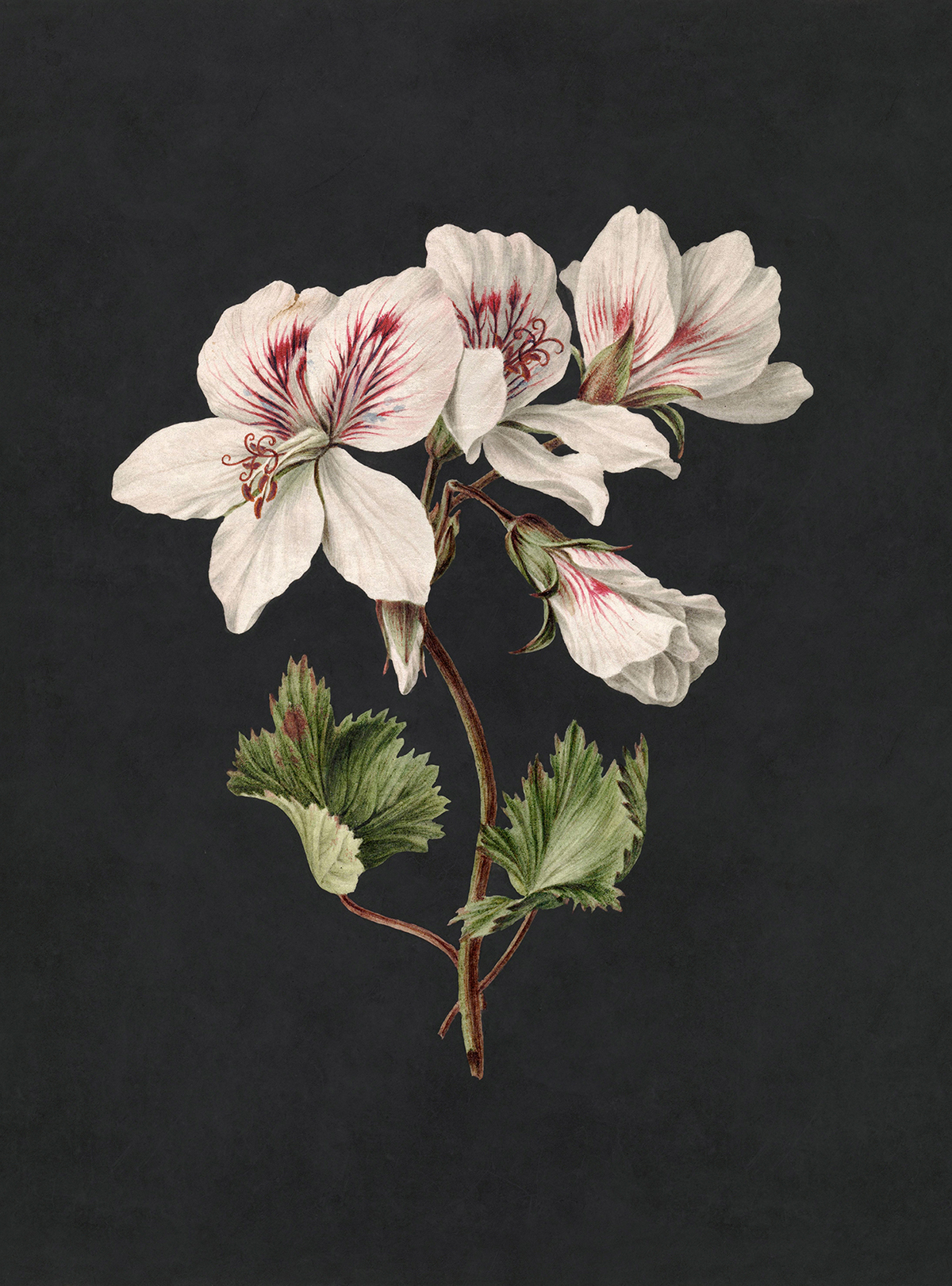 Papier peint panoramique Walls by Patel 3 - Référence DD122192 - Intissé 200g/m2 - 200 x 270 cm