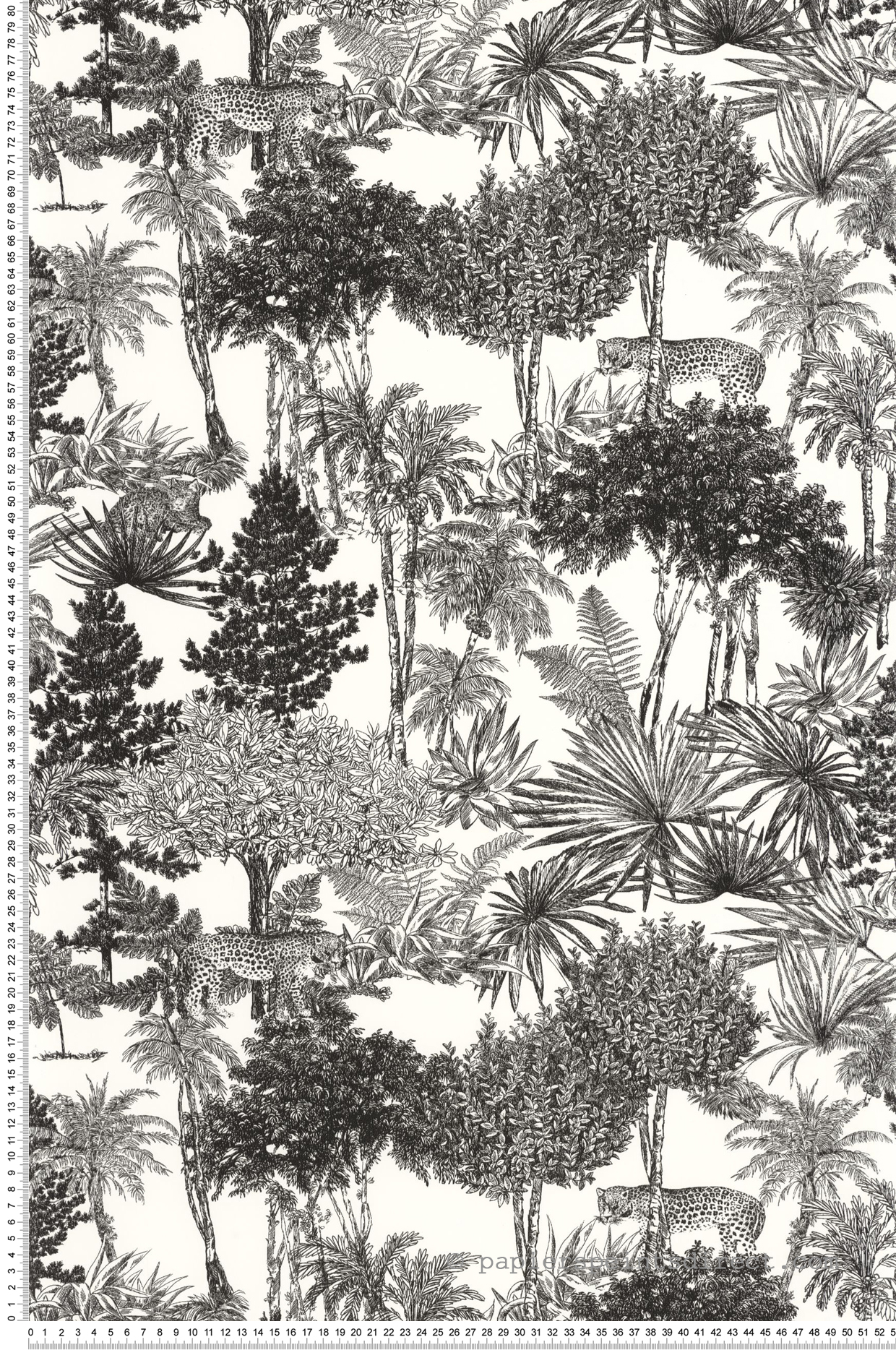 Papier peint Jungle Dream Forest noir et blanc - Moonlight 2 de Casélio AMB | Réf. MLGT104280974