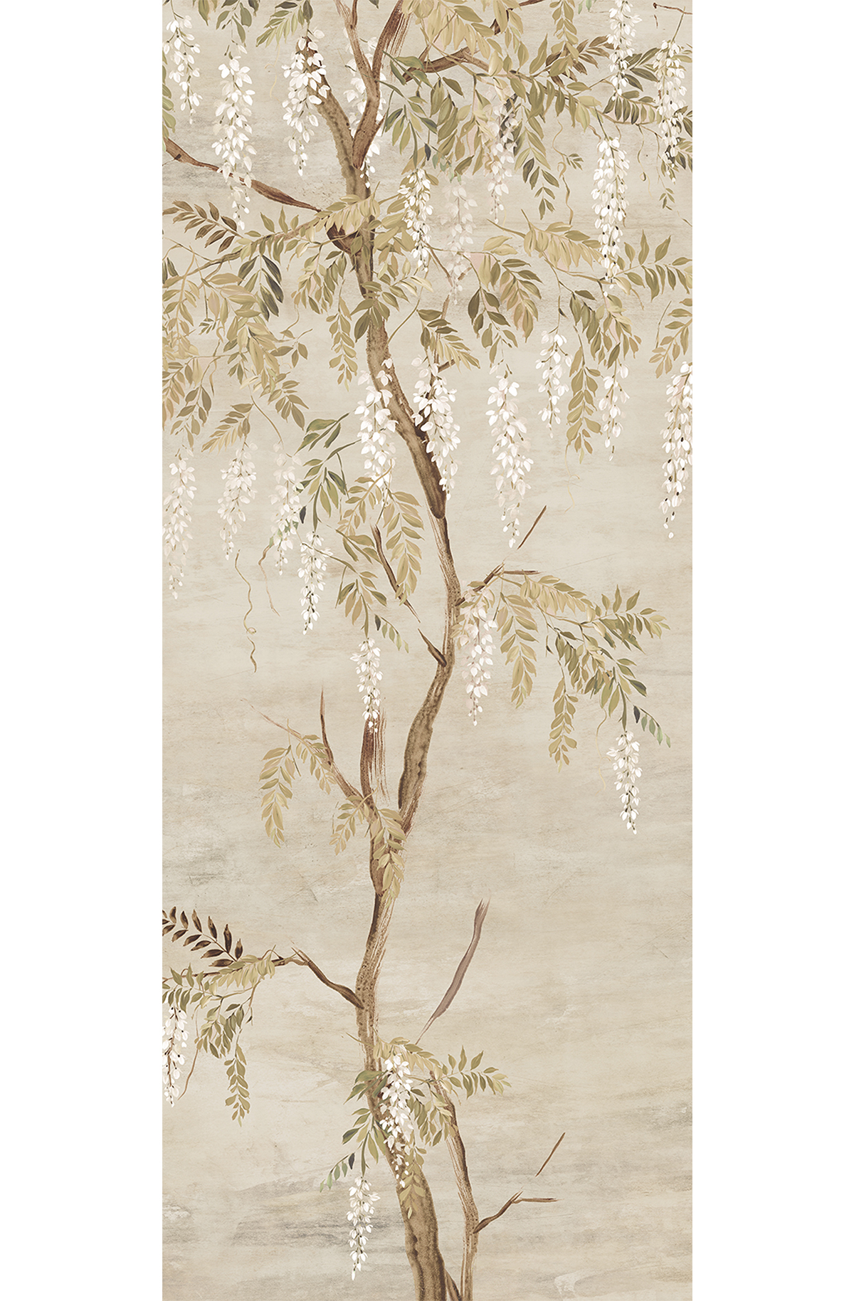 Papier peint panoramique Fleurs Glycine Patio beige - C H260 - Wall Designs IV de Masureel | Réf. MAS-DG4PAT1013-260