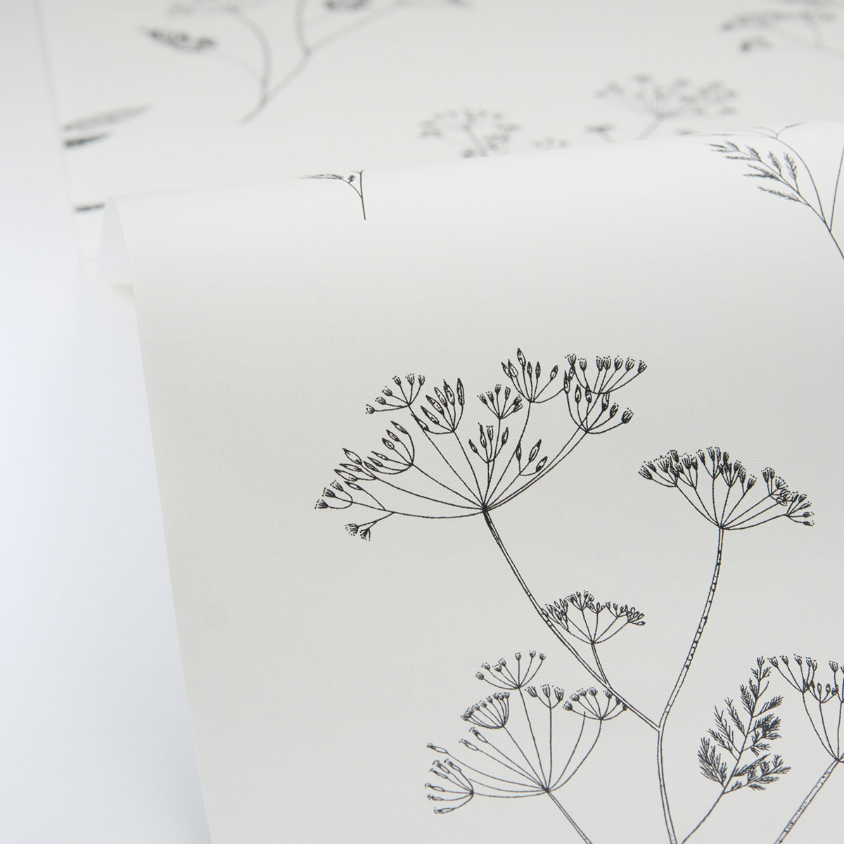 Papier peint Fleur Little Graminea noir et blanc - Art of Botany de Casélio AMBV | Réf. AOB106680928
