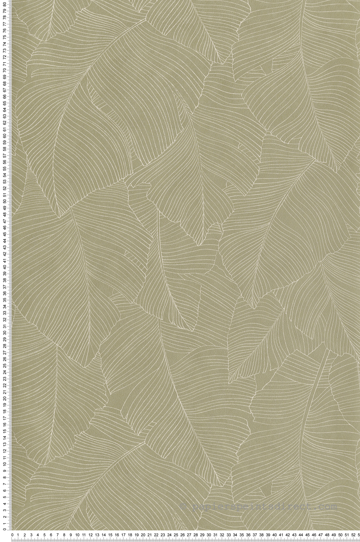 Papier peint Feuillage Vegetalia vert tilleul - Borneo de Casélio | Réf. BORN106507170