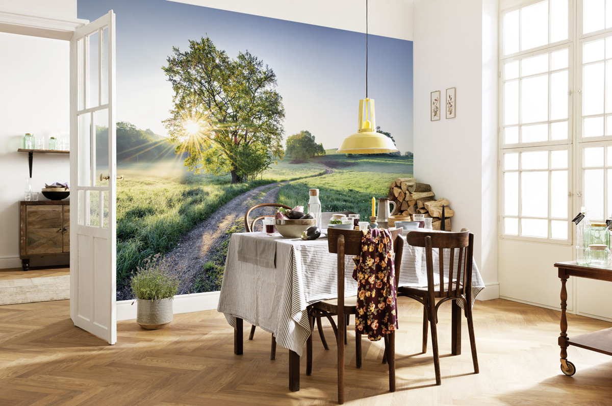 Papier peint panoramique Arbre Meadow Trail - Papier peint Komar Colors