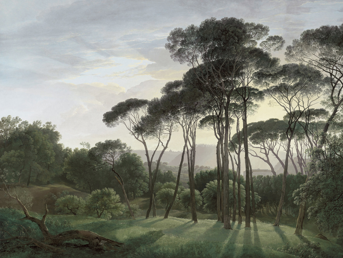 Papier peint panoramique Arbre Umbrella vert froid - Panorama 2 de Lutèce | Réf. LTC-PAN1512C