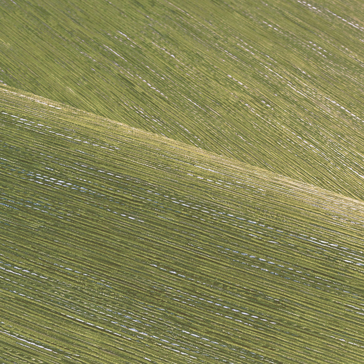 Papier peint Faux Uni Tissage Tatami vert matcha - Le Jacquard de Casamance AMB3| Réf. CAS-C75346018