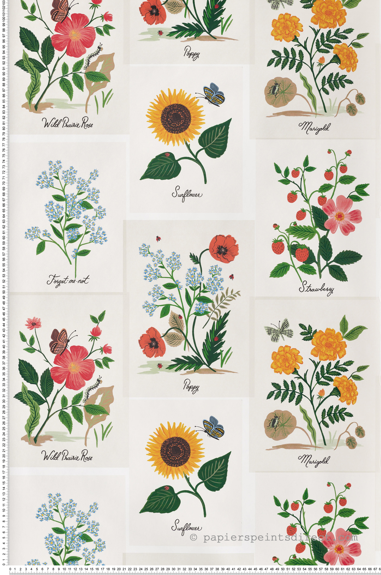 Papier peint Affiche Herbier multicolore - Rifle Paper Co. 2 de York (Initiales) | Réf. INI-RP7334