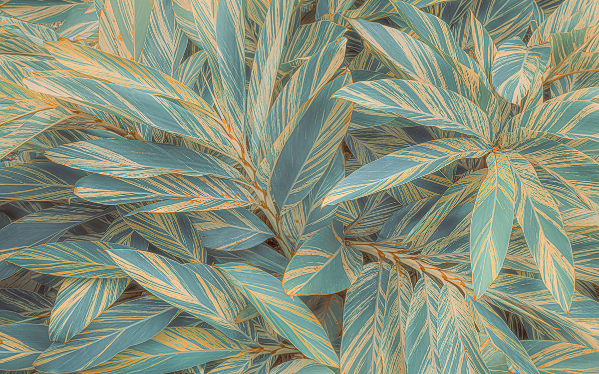 Papier peint panoramique Végétaux Amazonia Vibes - Papier peint Komar Pure 2