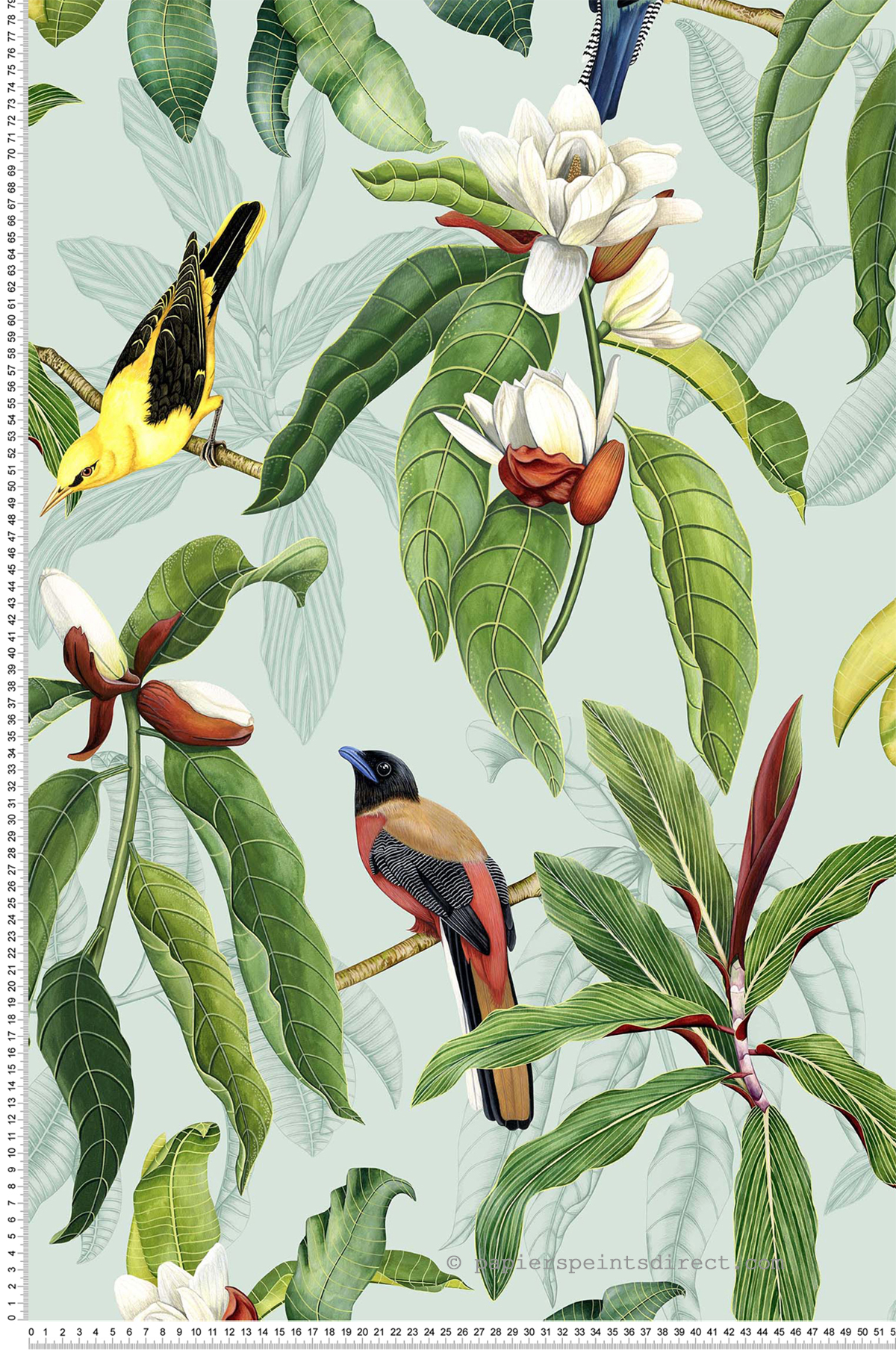 Papier peint exotique Oiseaux Michelia Eau De Nil - Empyrea d'Osborne & Little | Réf. OSB-W7612-04