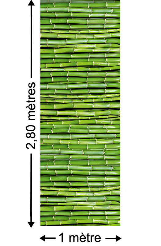Bamboo Power - Papier peint lé unique