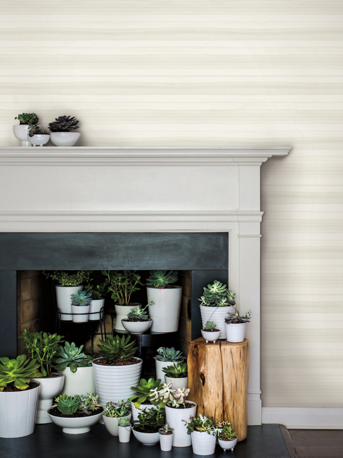 Papier peint Lamelle d'Écorce écru - Greenhouse de York (Initiales) | Réf. INI-GO8262