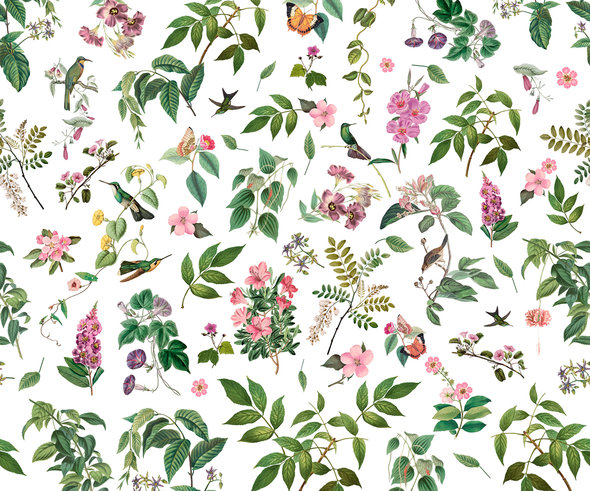 Papier peint panoramique Oiseau Cottage Core vert - Papier Peint Komar Infinity 2