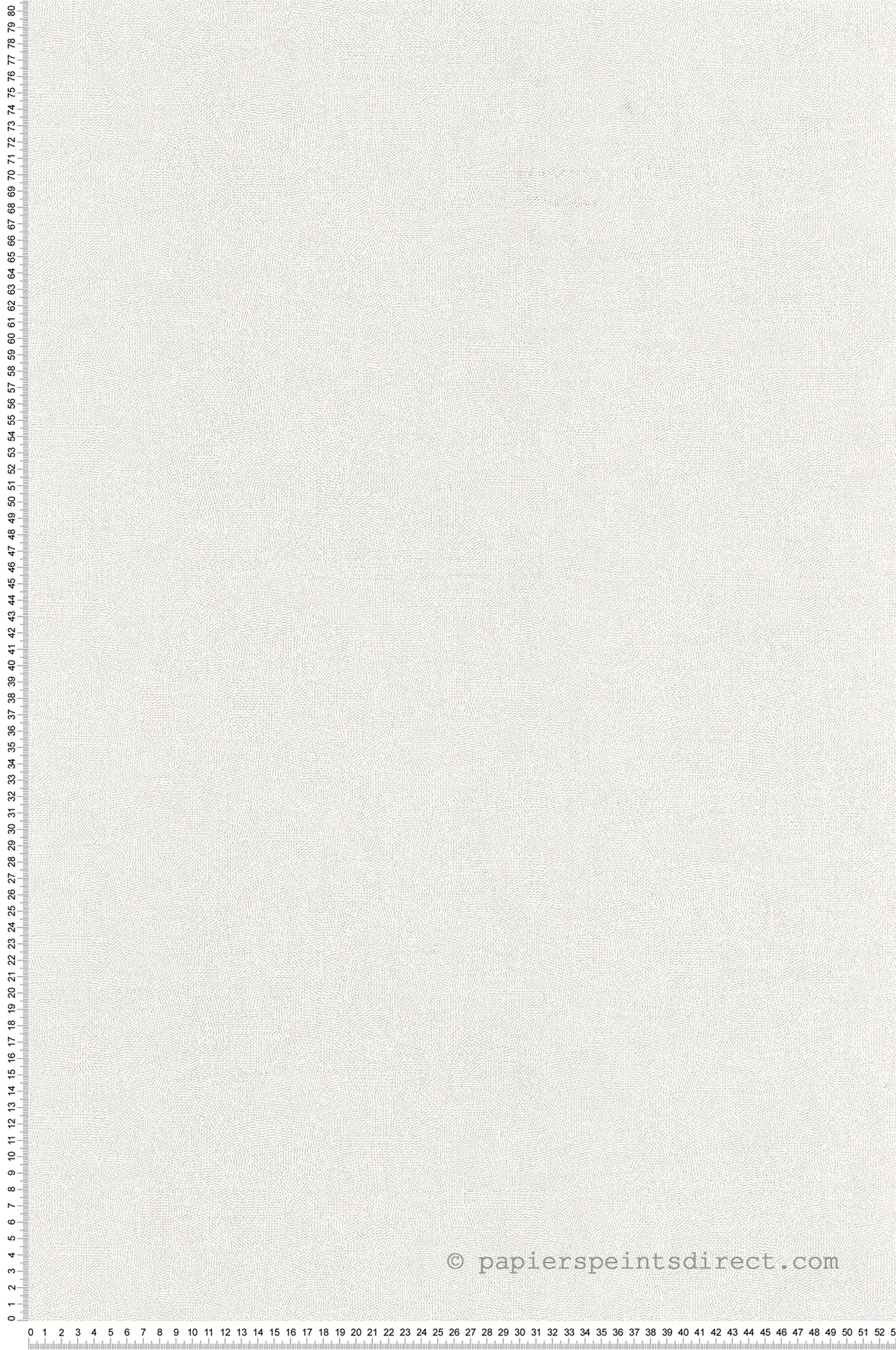 Papier peint Faux Uni Empreinte blanc givre - Riverside 4 de Casadéco | Réf. RIVI88700108