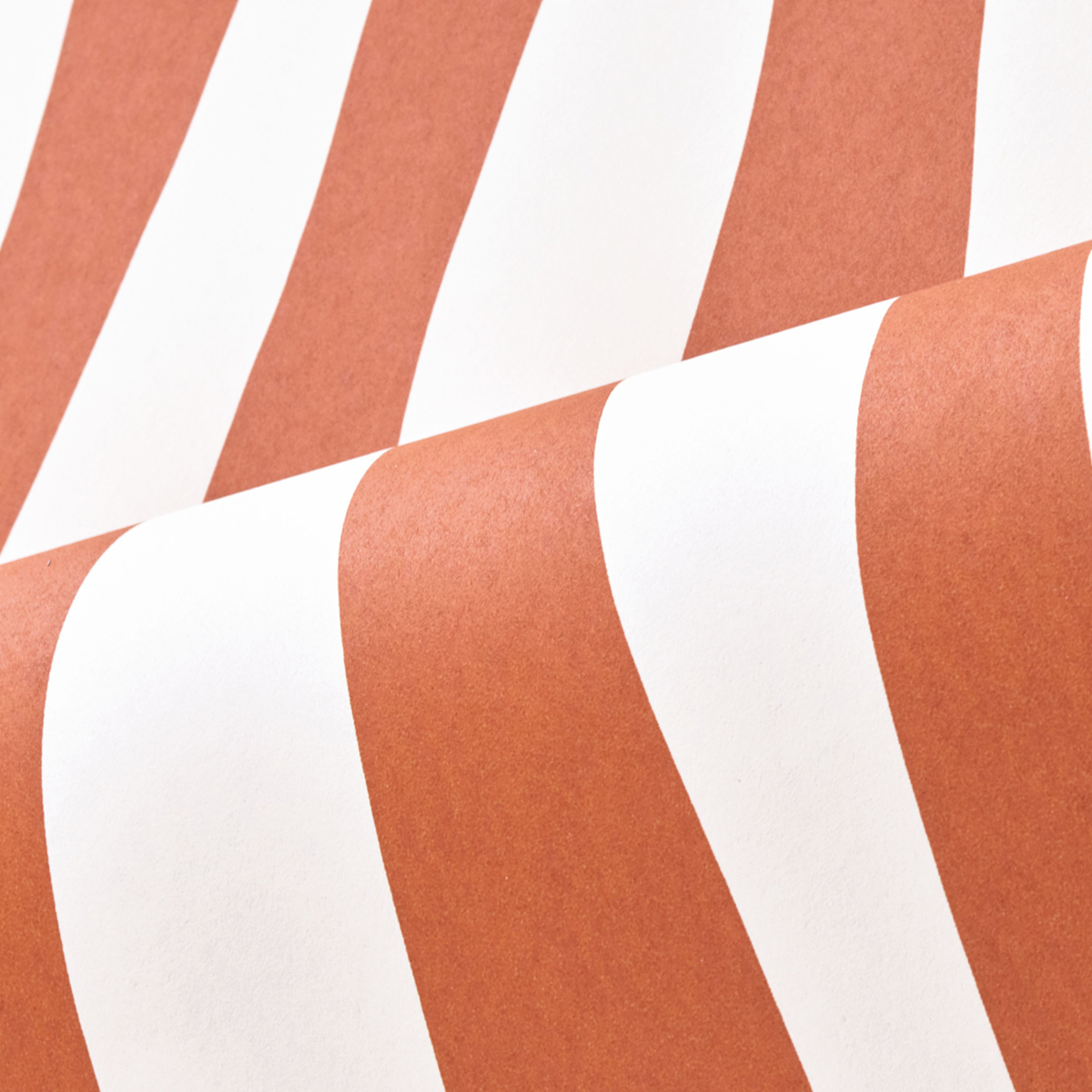 Papier peint Rayure Zèbre Sundae terracotta - L'Ile aux Oiseaux de Casamance | Réf. CAS-75912854