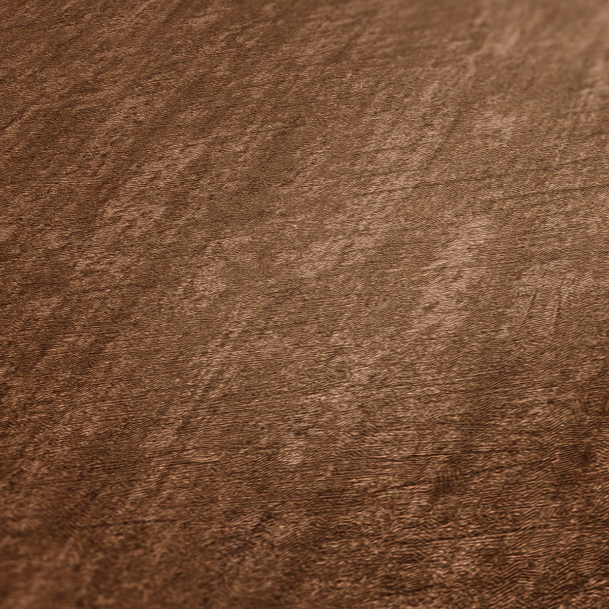 Papier peint Faux Uni brun - Titanium 3 d'AS Création | Réf. SP15636