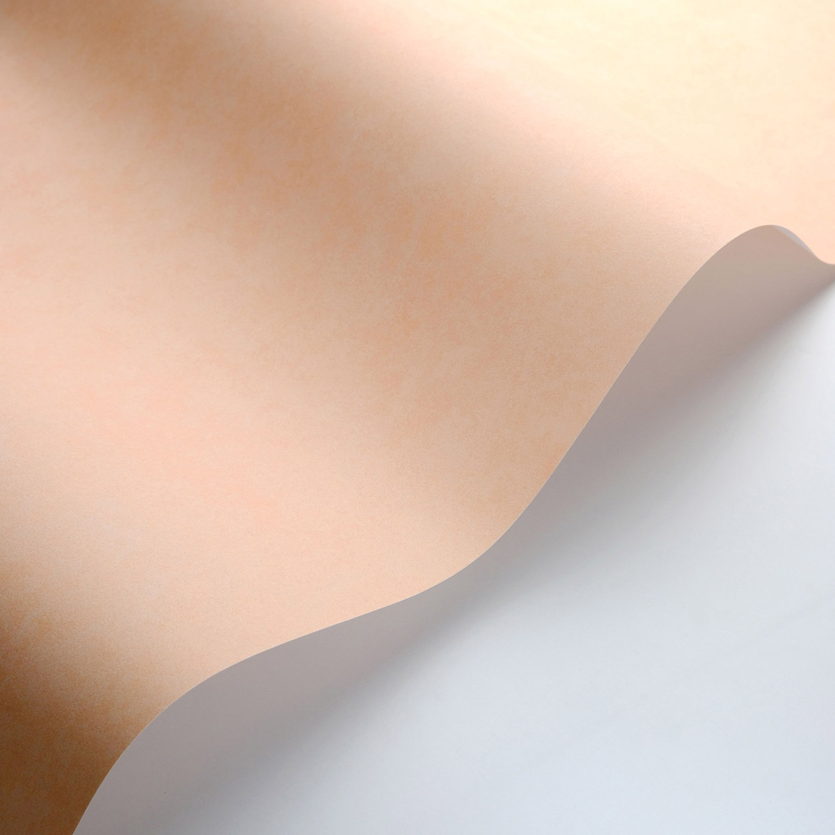 Papier peint Uni Buvard Vallauris abricot - Echappée Belle de Casadéco AMB3| Réf. ECHA89853232