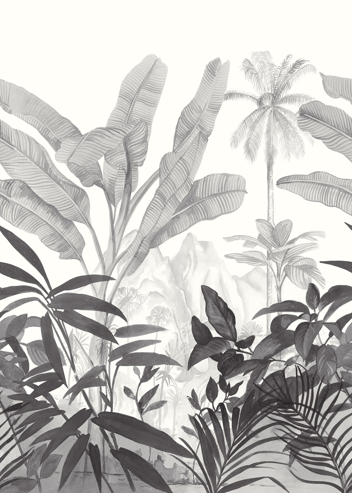 Papier peint panoramique Feuillages Wild & Secret noir et blanc - Beauty Full Image 2 de Casadéco | Réf. BFM102509001