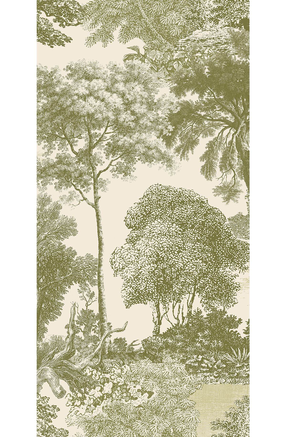 Papier peint panoramique Toile de Jouy Salcey vert olive - B H260 - Amazone de Masureel | Réf. MAS-DGSAL1032-260