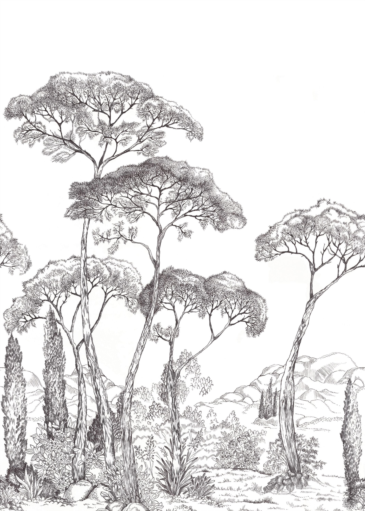 Papier peint Panoramique Méditerranéen Forest Of Pinea noir et blanc 200X280 - Moonlight 3 de Casélio | Réf. MNL3107290903