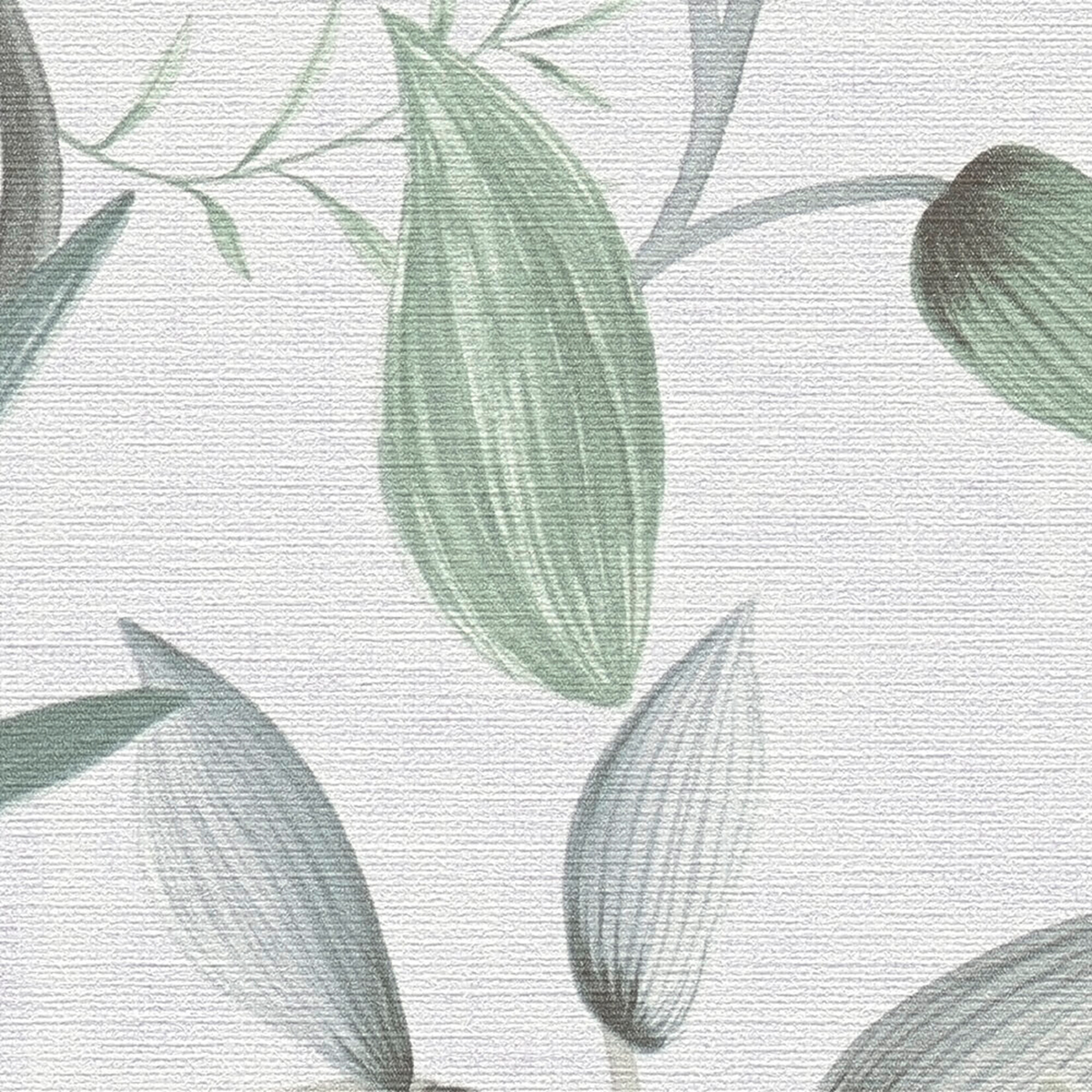 Papier peint Feuille Botanic vert gris - Aquarell Dreams d'A.S. Création AMB4| Réf. AS-397452