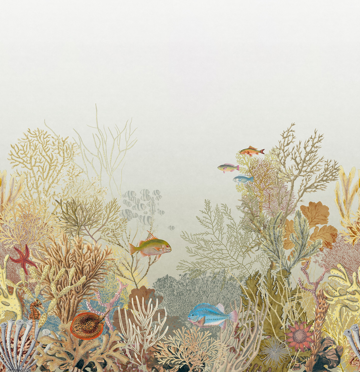 Papier peint panoramique Poisson Marin Aquarium L vert de gris 300X310 - Seaside de Casadéco | Réf. SEAS201540309