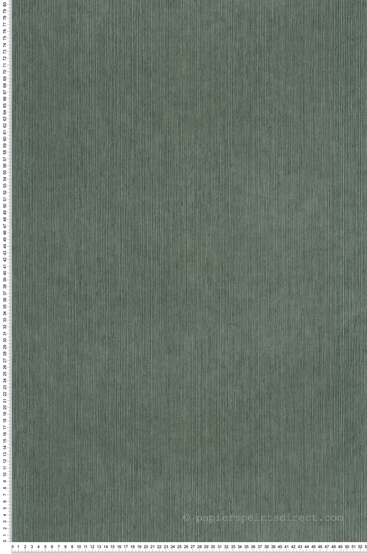 Papier peint Sisal Fibre vert canard - Borneo de Casélio | Réf. BORN106017589