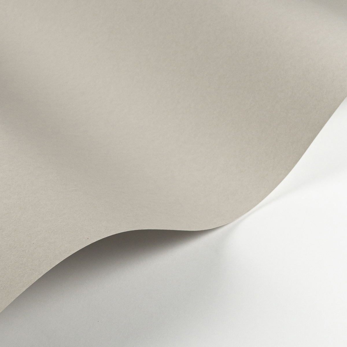 Papier peint Uni Pigments Buvard pierre - Galons et Frises de Casadéco | Réf. GAFR200339229