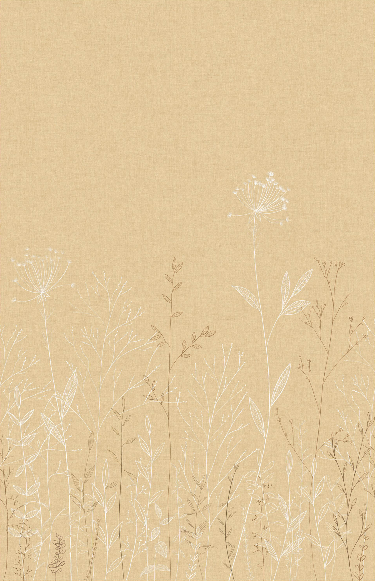 Papier peint Panoramique Prairie Field Line beige 200X310 - Moonlight 3 de Casélio | Réf. MNL3107221004