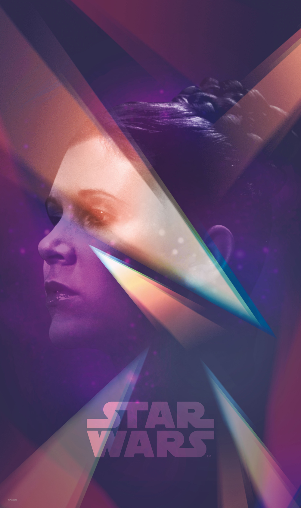 Star Wars Female Leia- Papier peint XXL Komar