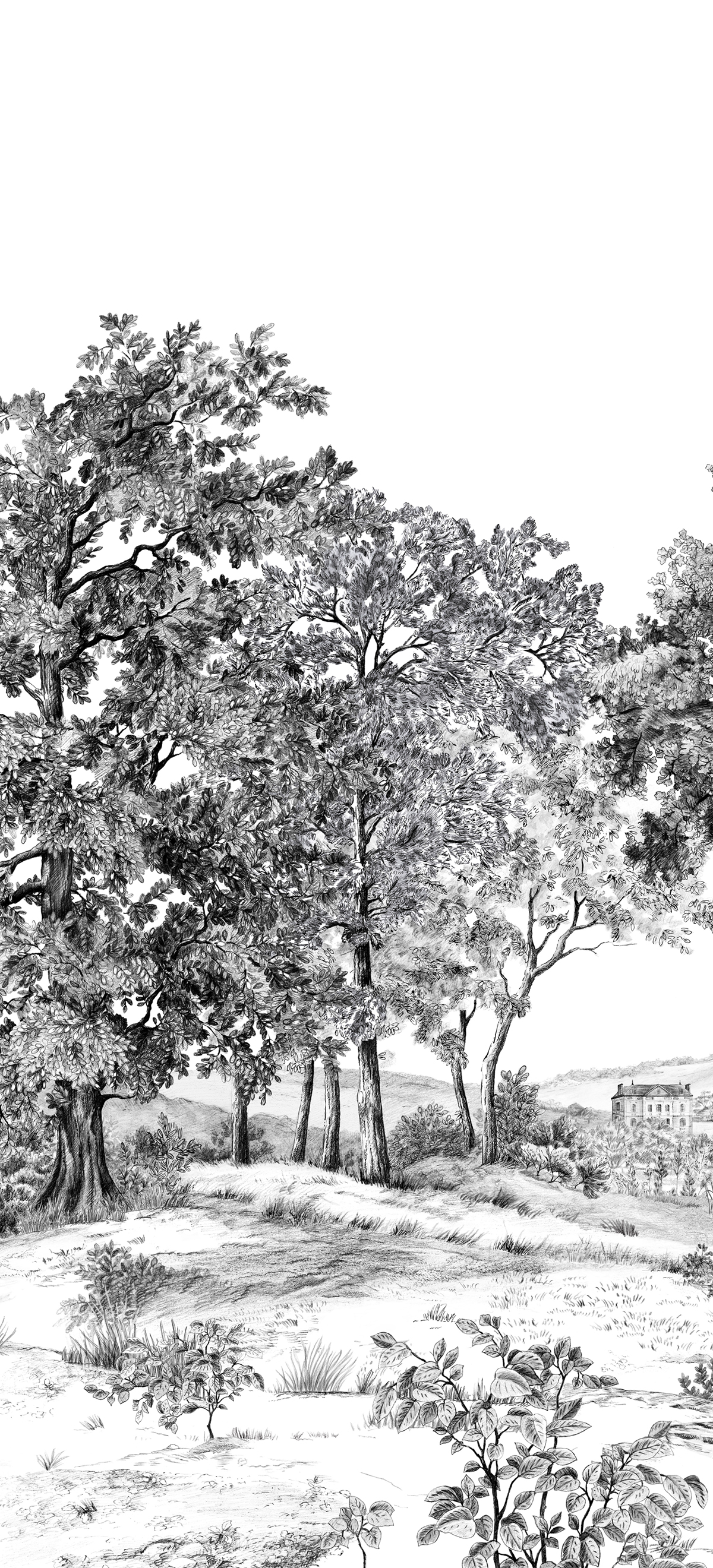 Papier peint panoramique Paysage Domaniale Noir et Blanc A - 1/2/3 - Isidore Leroy