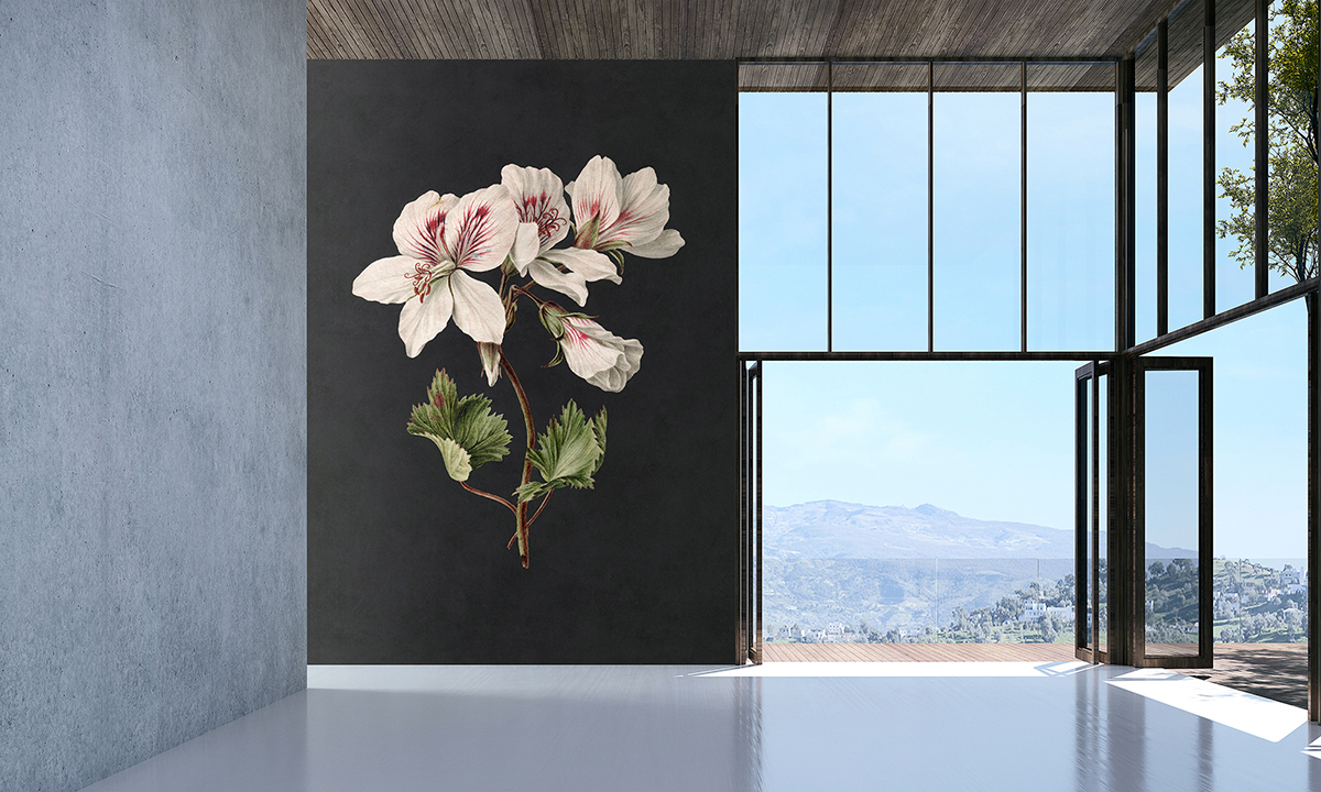 Papier peint panoramique Walls by Patel 3 - Référence DD122192 - Intissé 200g/m2 - 200 x 270 cm