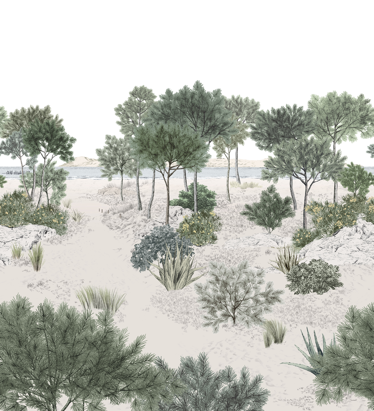 Papier peint panoramique Dune Naturel A+B - 1/2/3/4/5/6 - Isidore Leroy