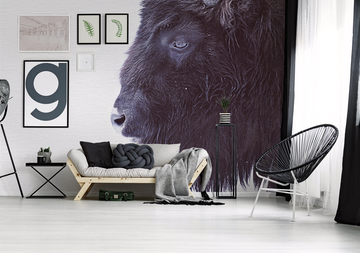 Papier peint panoramique Animal Black Buffalo - Référence DD119797 - Intissé 200g/m2 - Standard 400 x 270