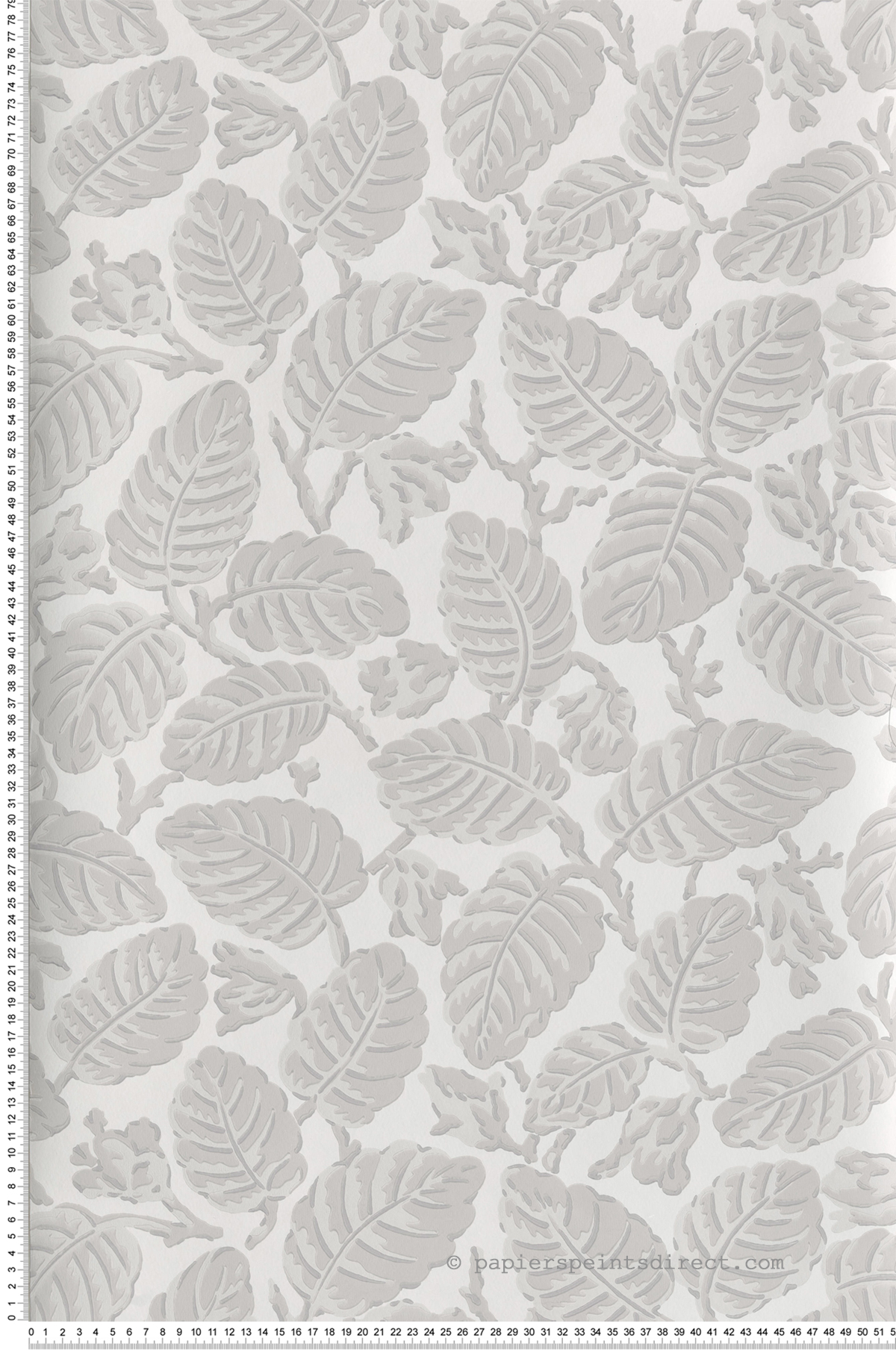 Papier peint nature Beech Nut Warm Grey - National Trust Papers 2 de Little Greene | Réf. 0260BEWARMZ