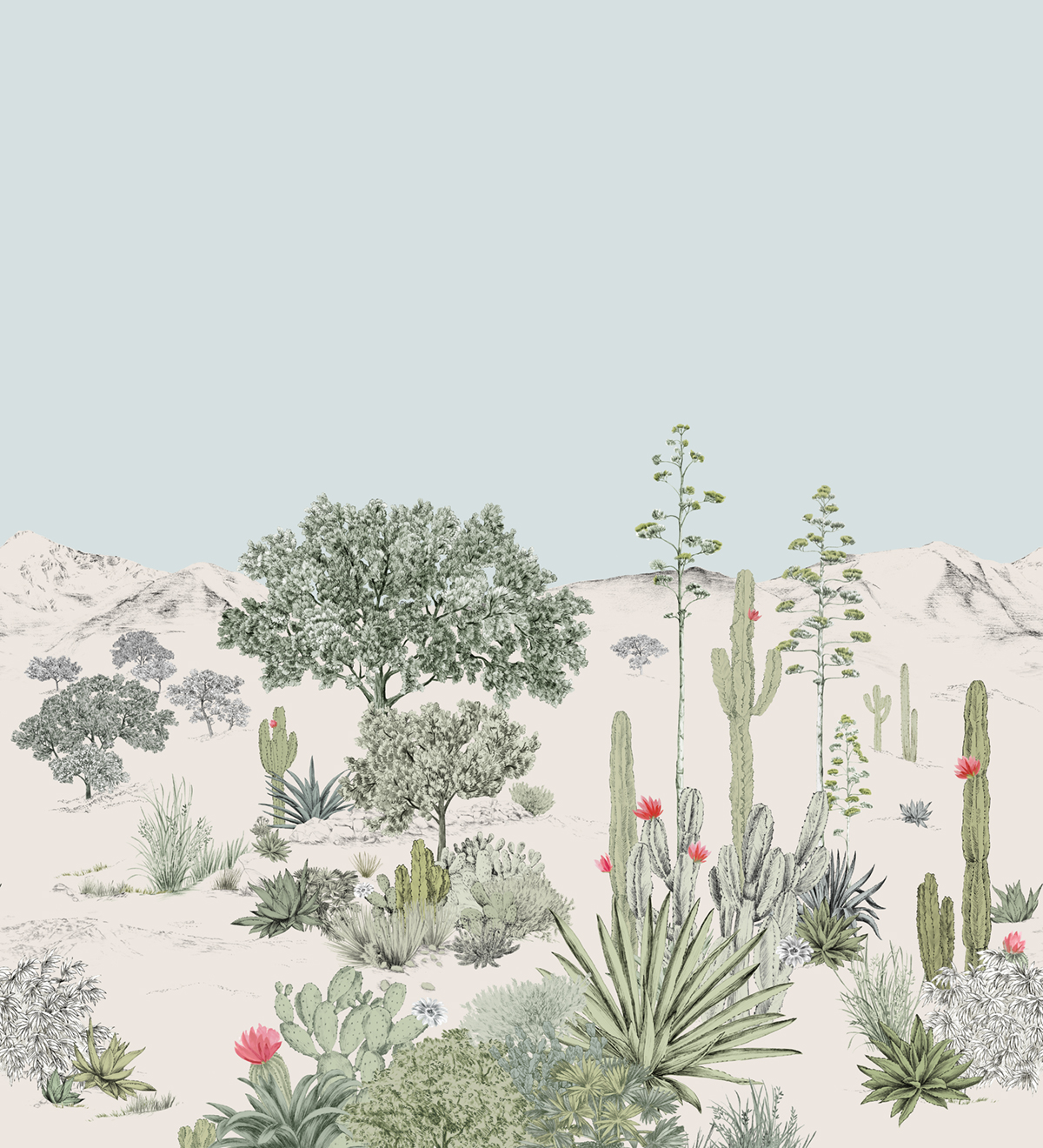 Papier peint panoramique Cactus Succulentes Pastel A+B - 1/2/3/4/5/6 - Isidore Leroy