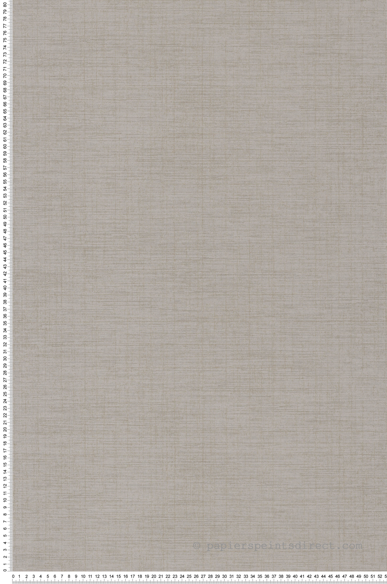 Papier peint Faux Uni gris pierre - Five o'clock de Casadeco | Réf. FOCL85841261