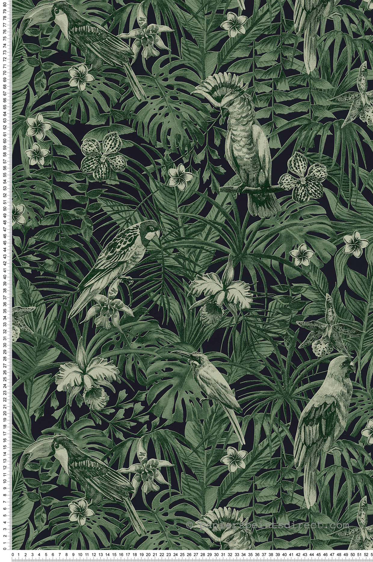 Papier peint oiseaux jungle Cacatoes vert - Greenery d'AS Création | Réf. SP15019