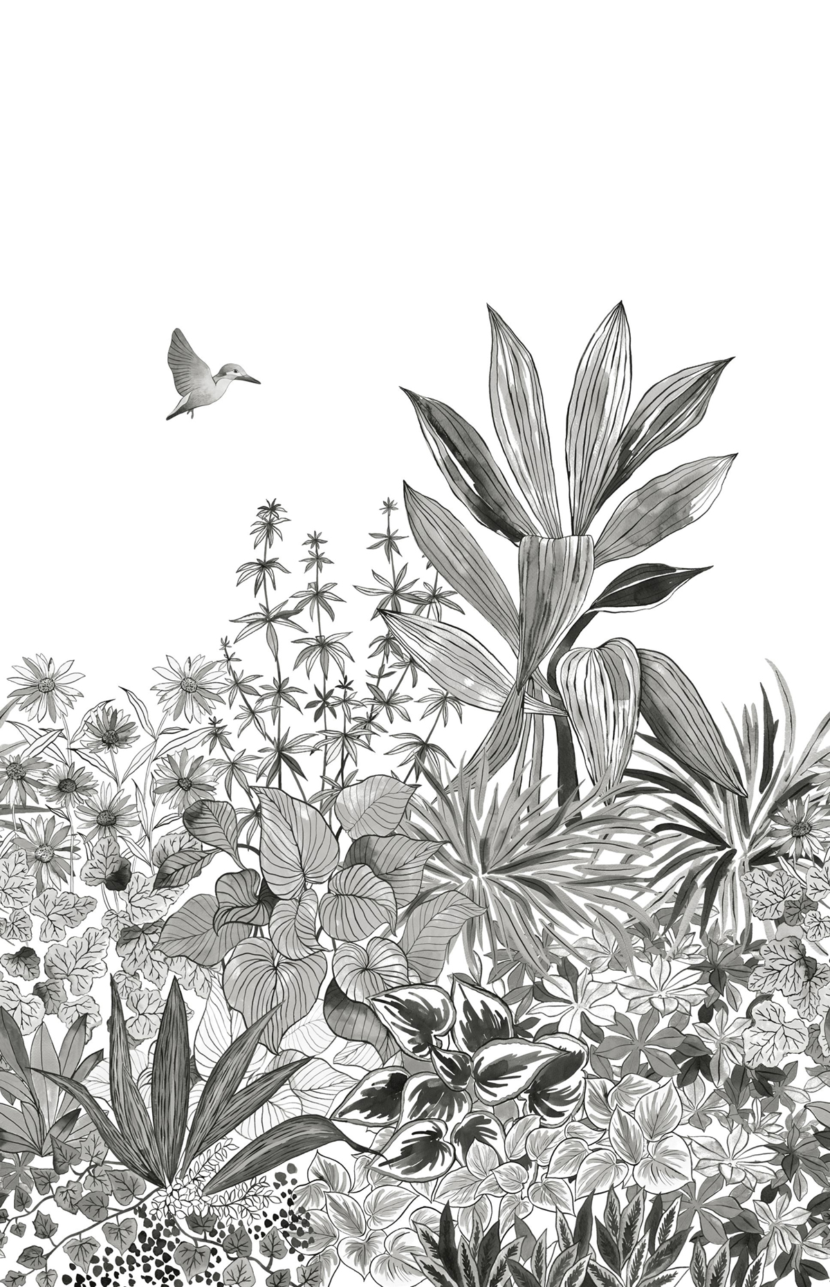 Papier peint panoramique Jungle Colibri noir et blanc - Moonlight 2 de Casélio AMB | Réf. MLGT104140934