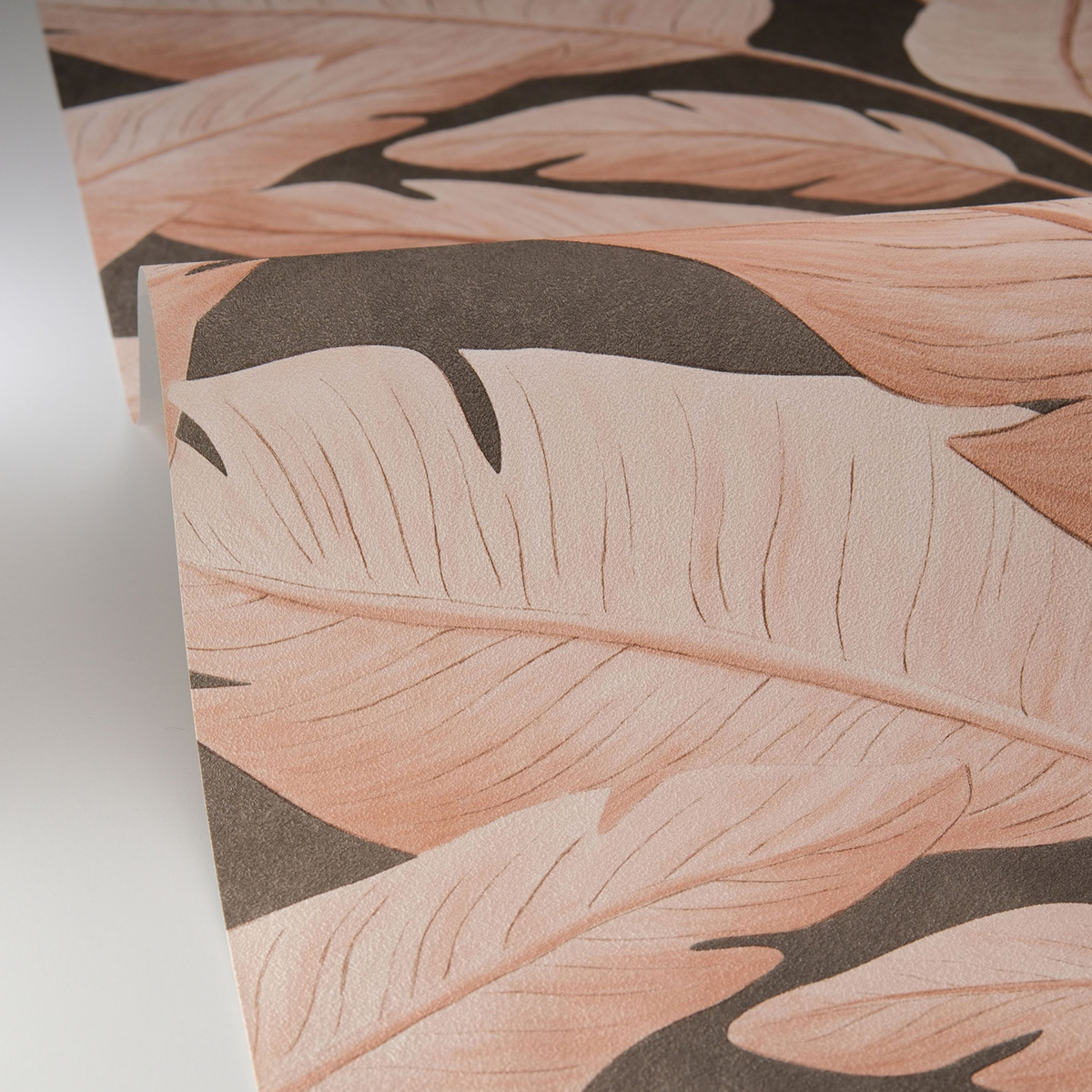 Papier peint Palmes Bananier Tropicalia gris brun - Borneo de Casélio AMBV| Réf. BORN106549097