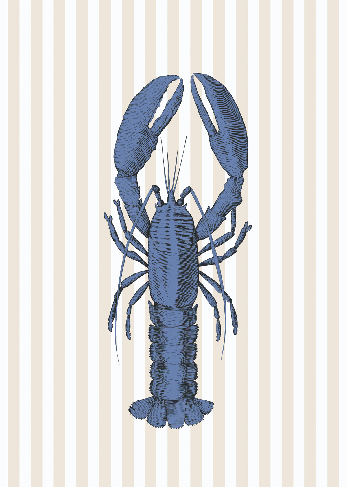 Affiche Clarisse Écrevisse 50x70 bleu - Seaside de Casadéco | Réf. SEAS201616104