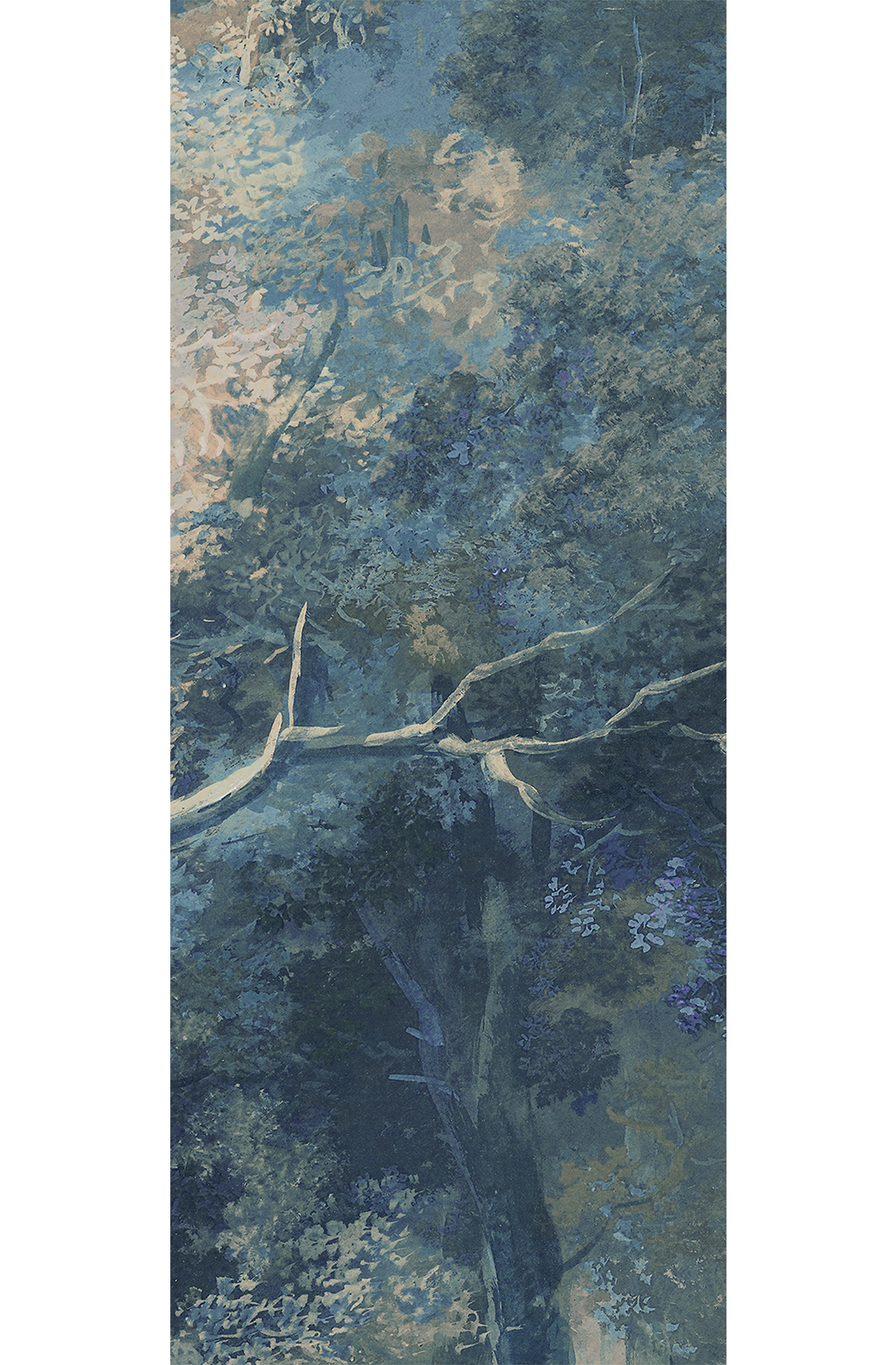 Papier peint panoramique Forêt bleu pétrole - D H260 - Wall Designs IV de Masureel | Réf. MAS-DG4WOO1014-260