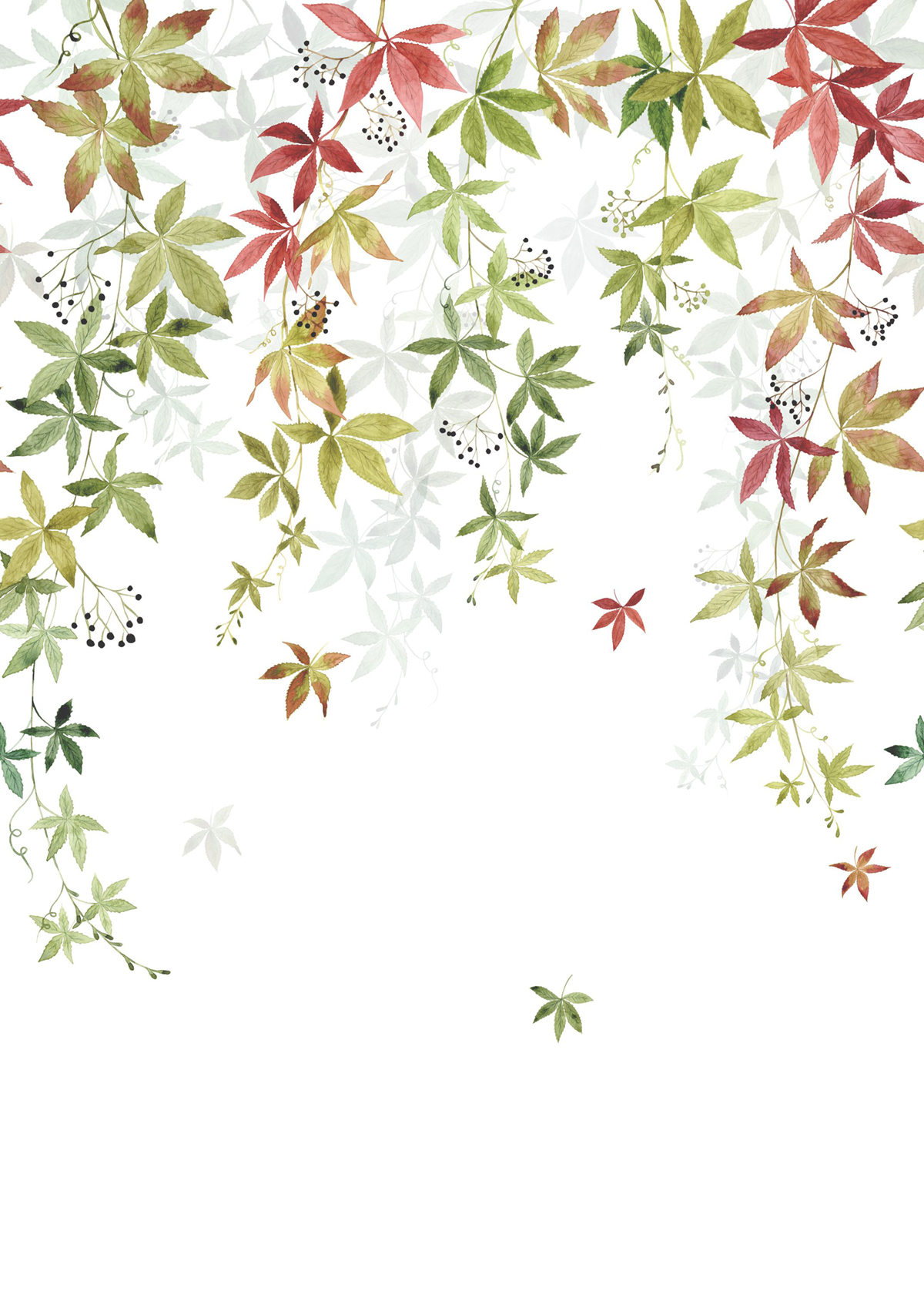 Papier peint panoramique Feuille Vigne en Fleur M automne 200X280 - Wonderwalls 2 de Casadéco | Réf. WDWD200067903