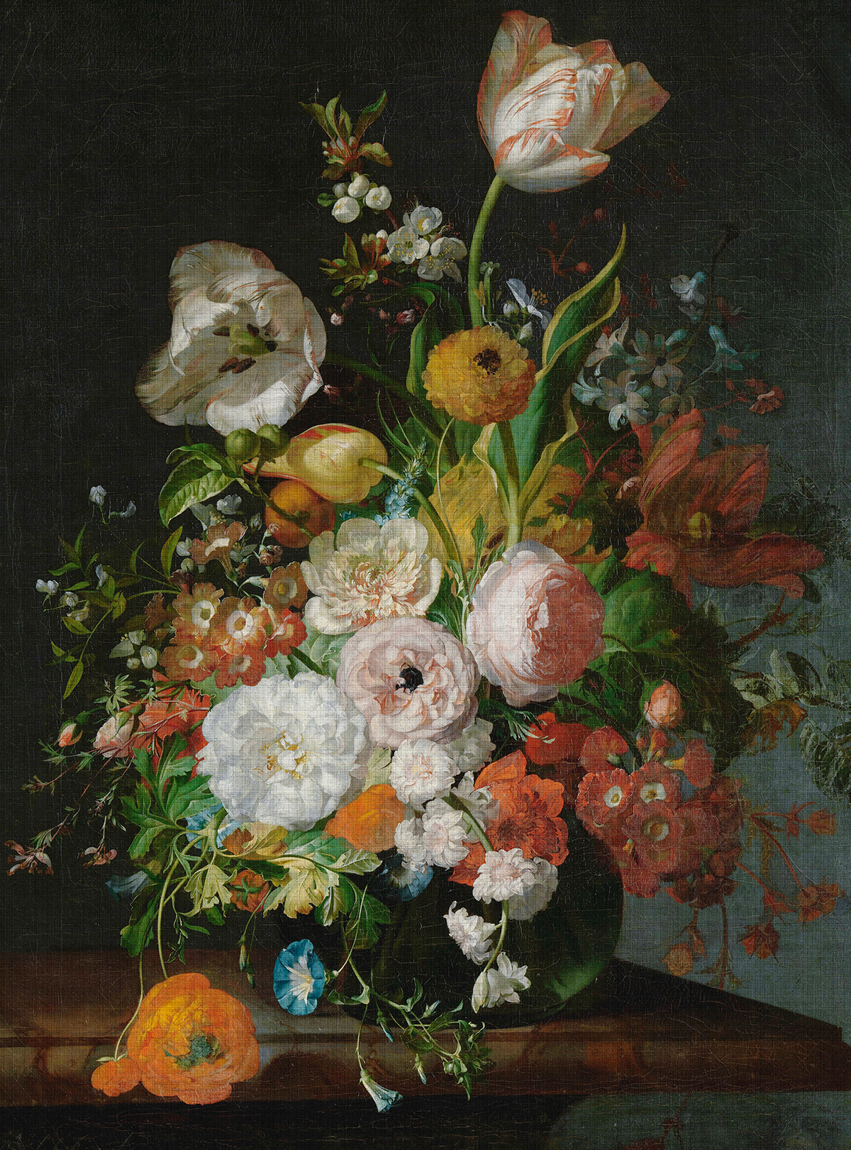 Papier peint panoramique Walls by Patel 3 - Référence DD122164 - Intissé 200g/m2 - 200 x 270 cm