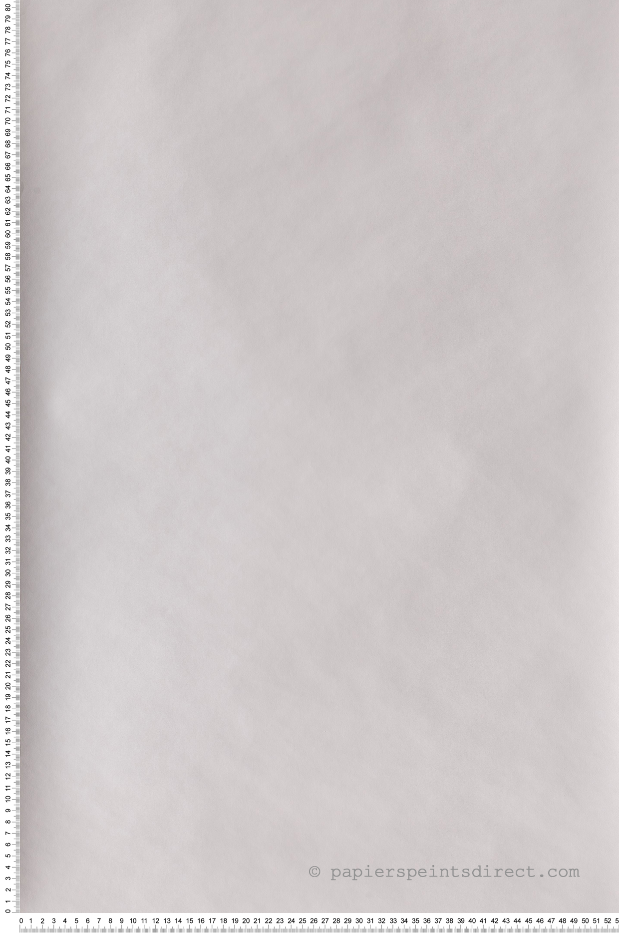 Papier peint Uni gris clair - Once Upon A Time de Casadéco | Réf. OUAT29699203