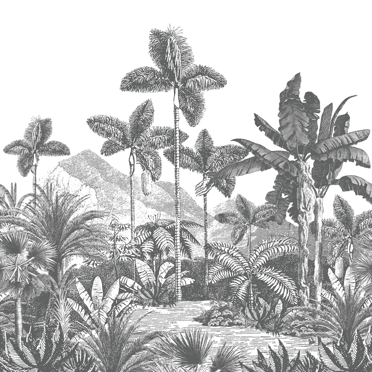 Papier peint panoramique Jungle Exotic & Idyllic noir blanc S 250X250 - Pimp My Wall de Casélio | Réf. PMW104869506